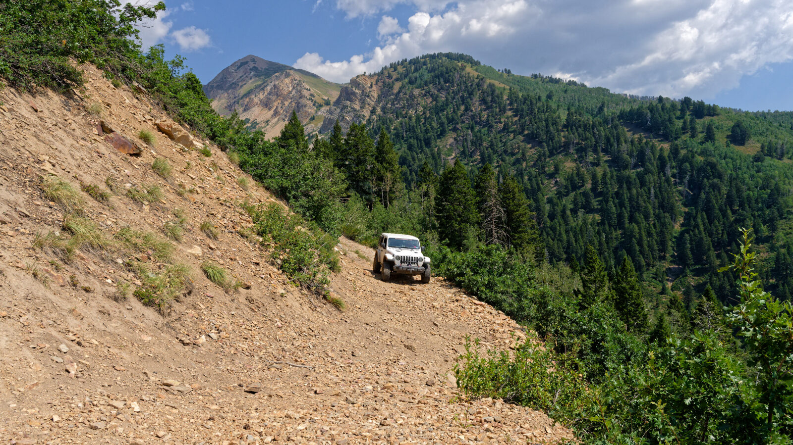 Waypoint 8