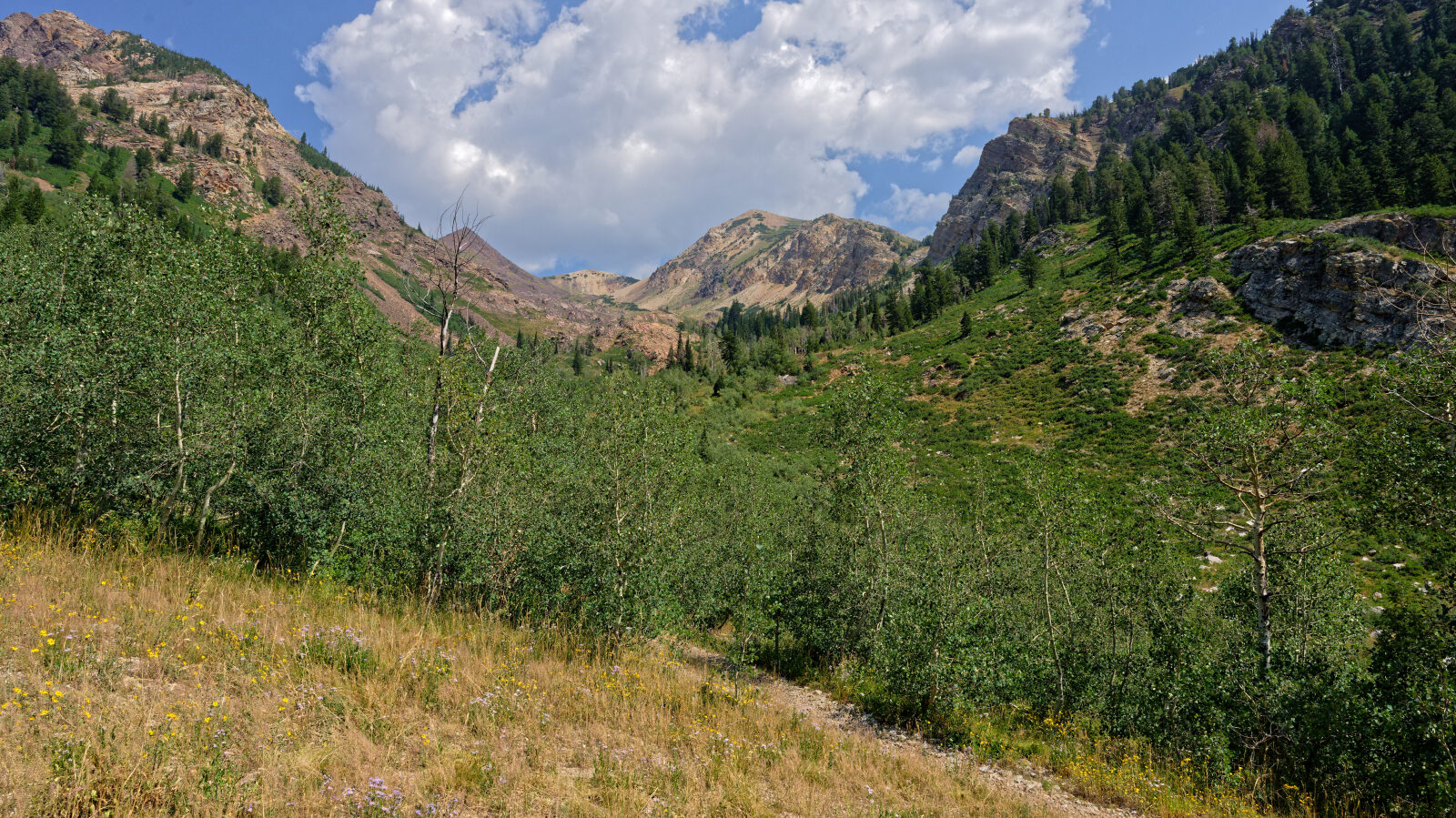 Waypoint 5
