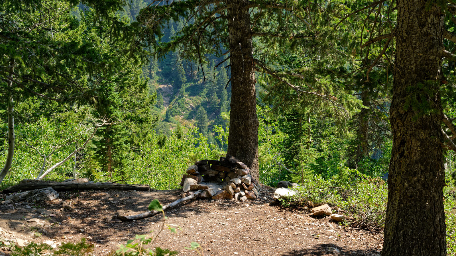 Waypoint 7