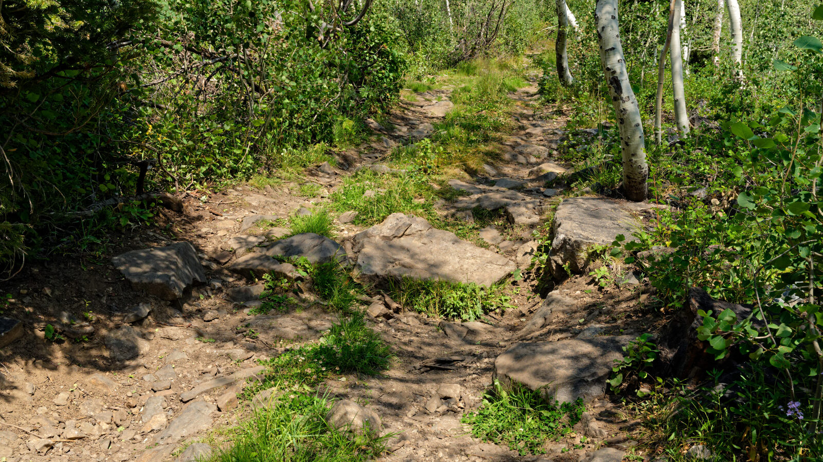 Waypoint 4
