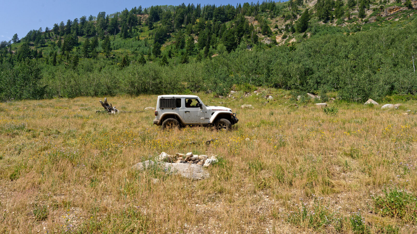 Waypoint 5