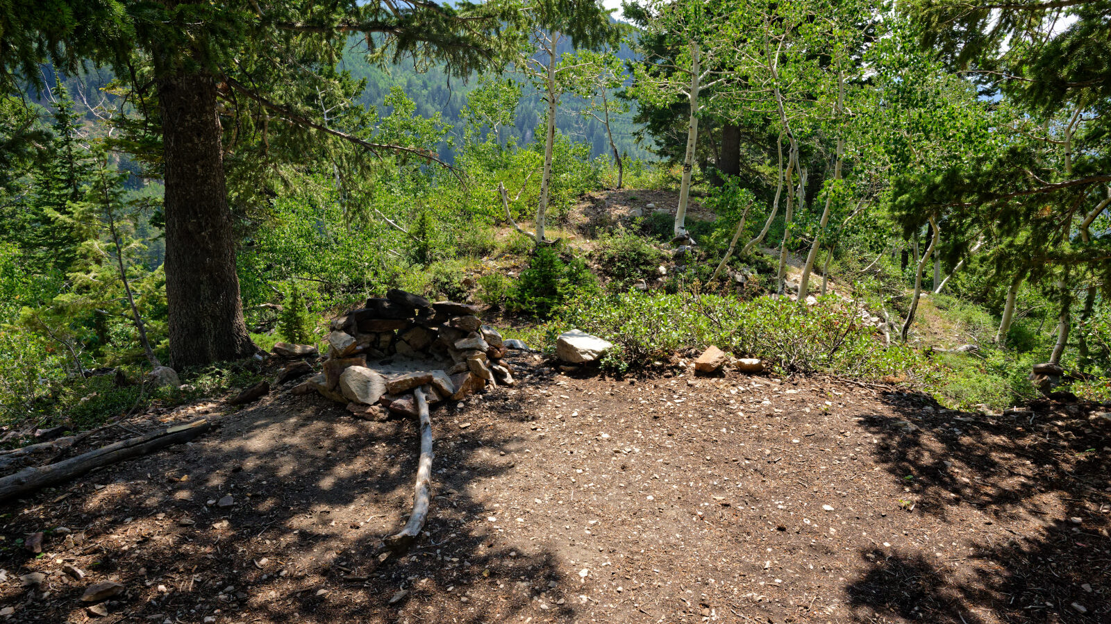 Waypoint 7