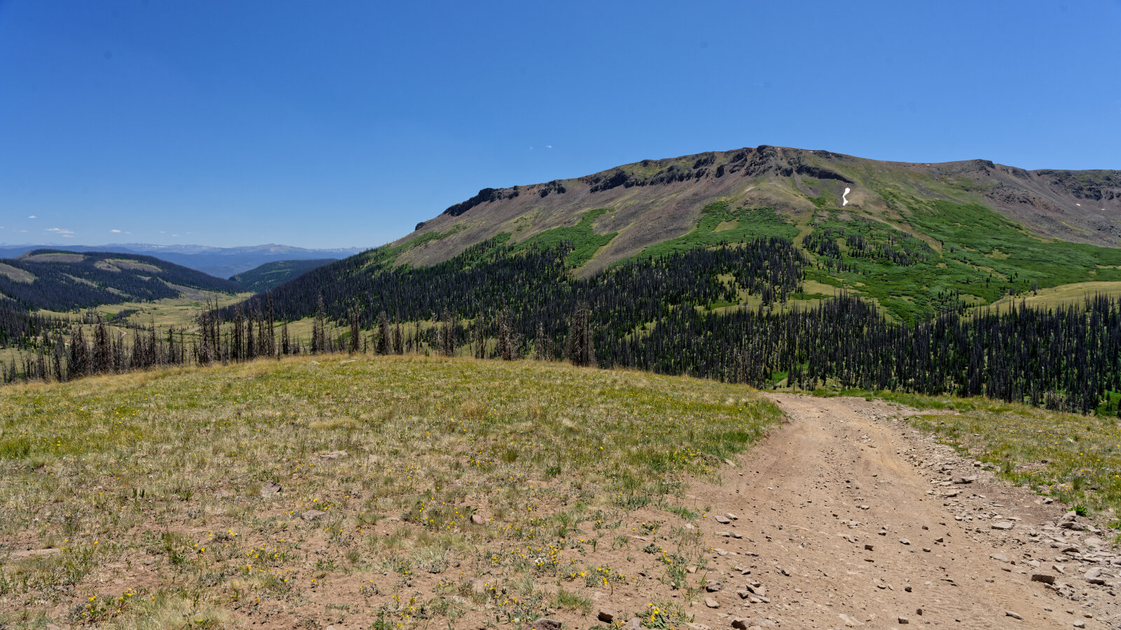 Waypoint 1