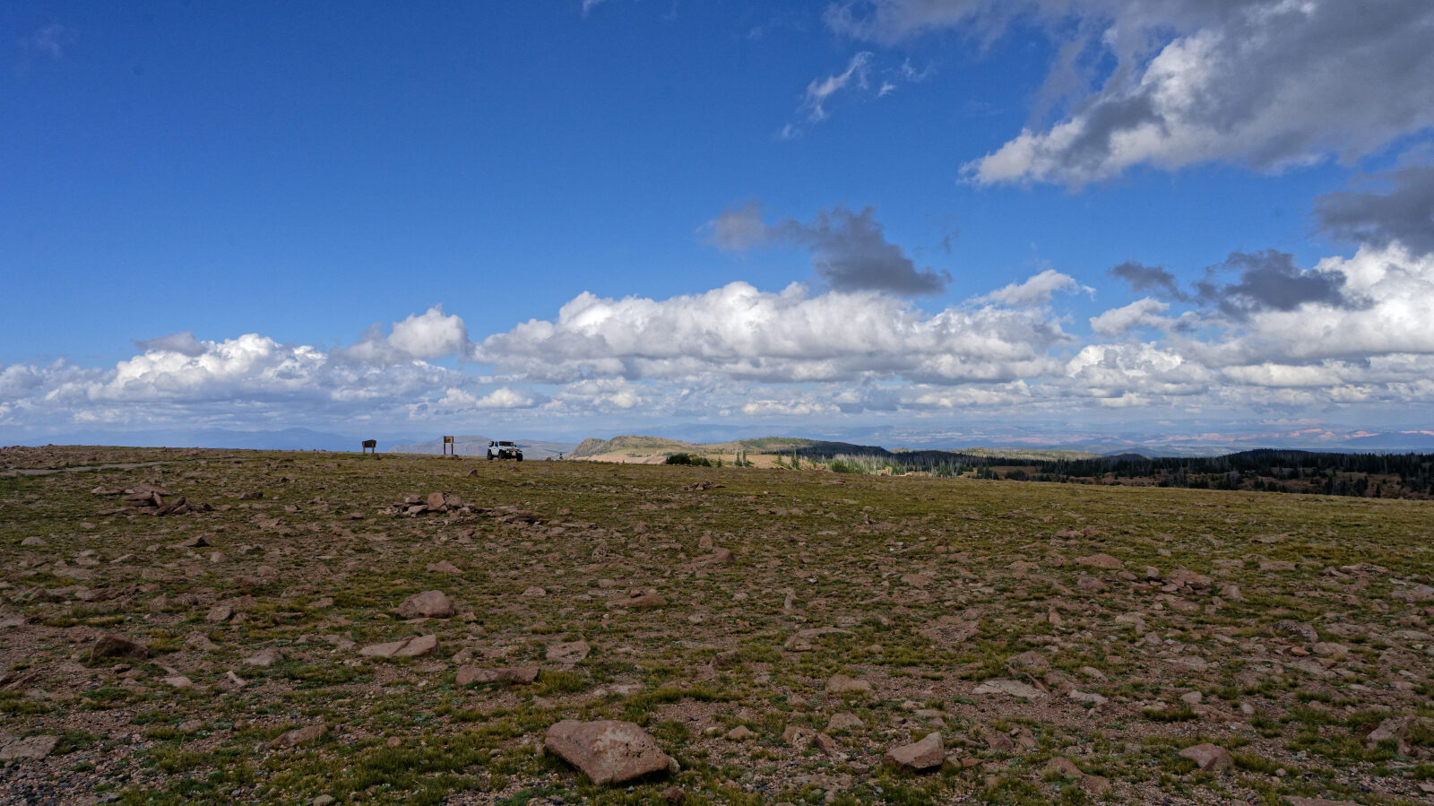 Top of Brian Head Peak.