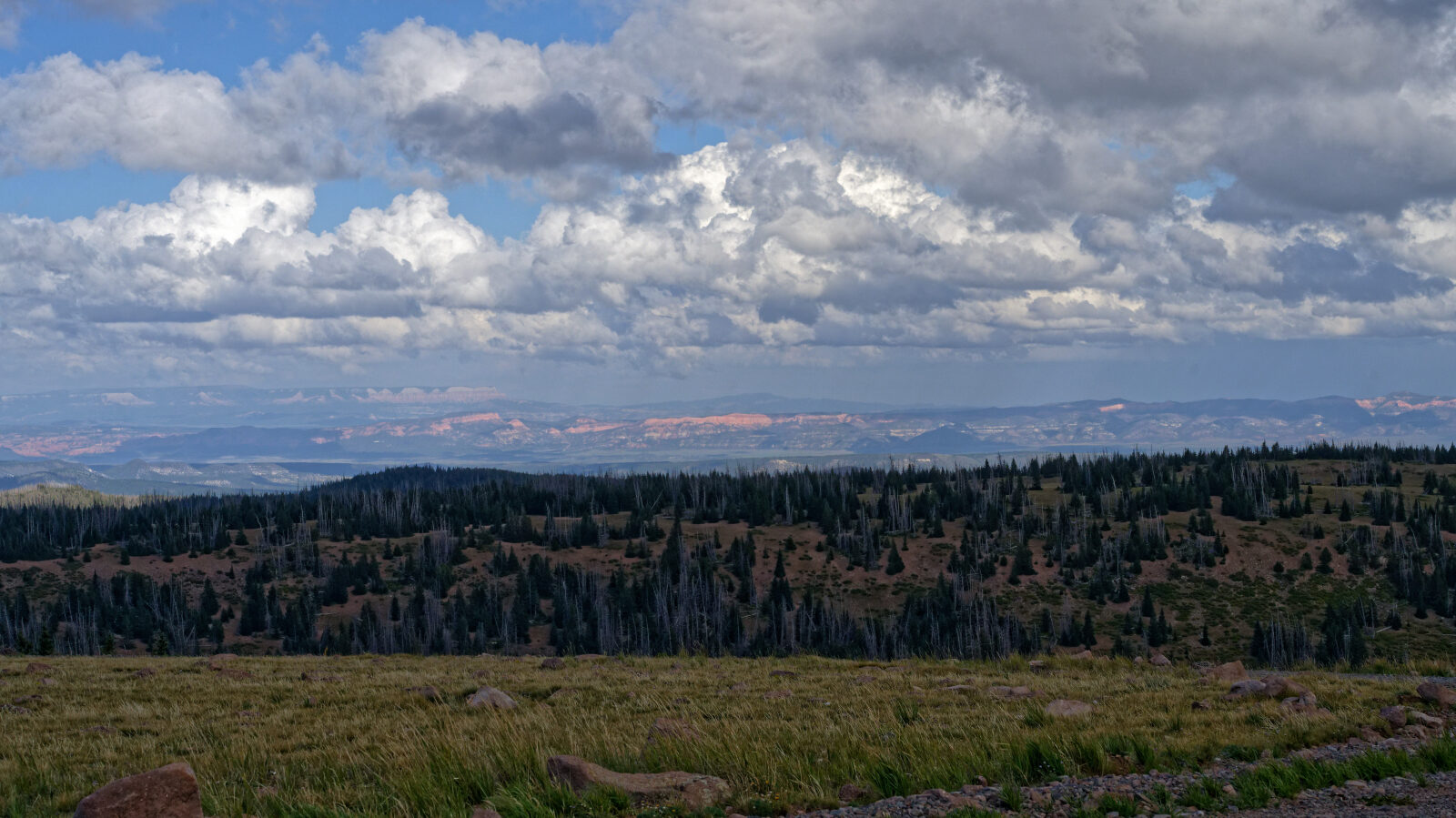 Top of Brian Head Peak.