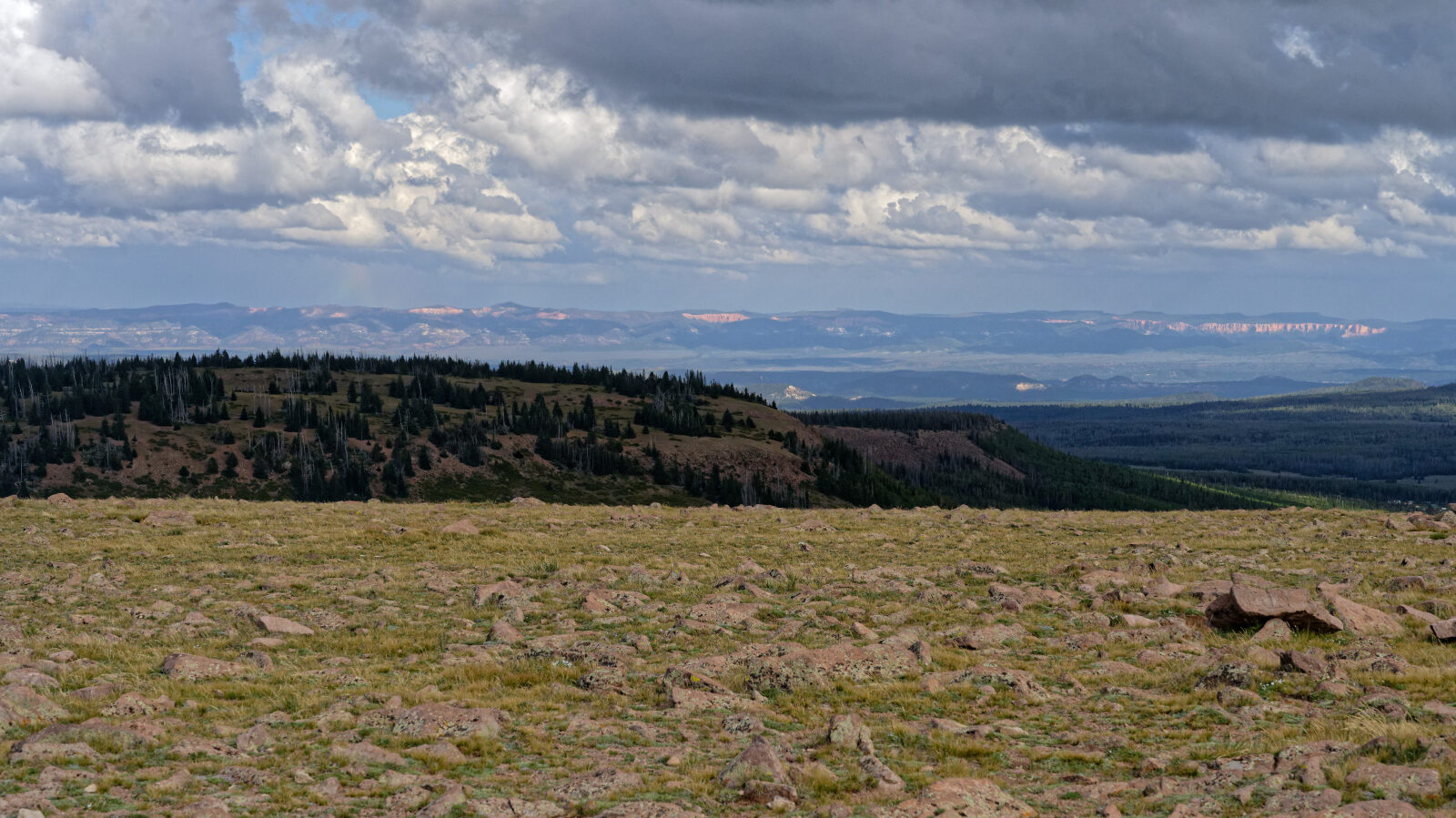 Top of Brian Head Peak.