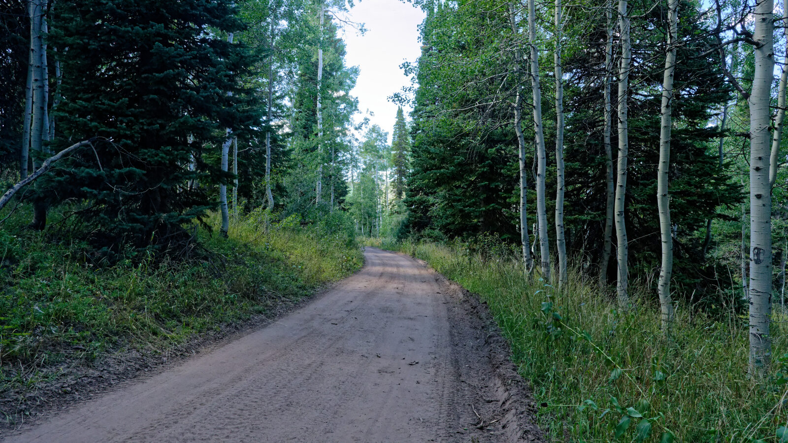Waypoint 4