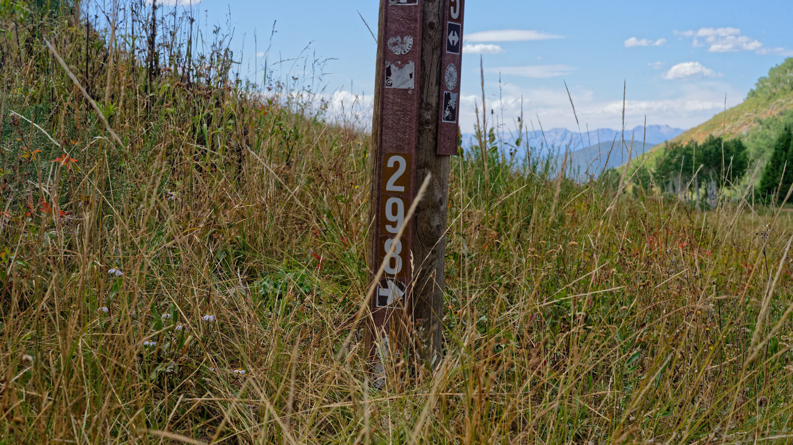 Waypoint 1