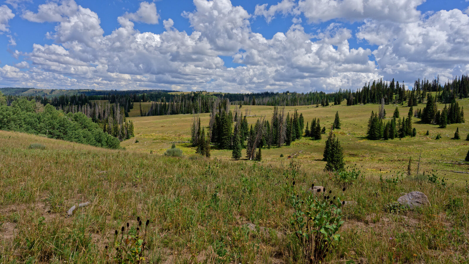 Waypoint 10