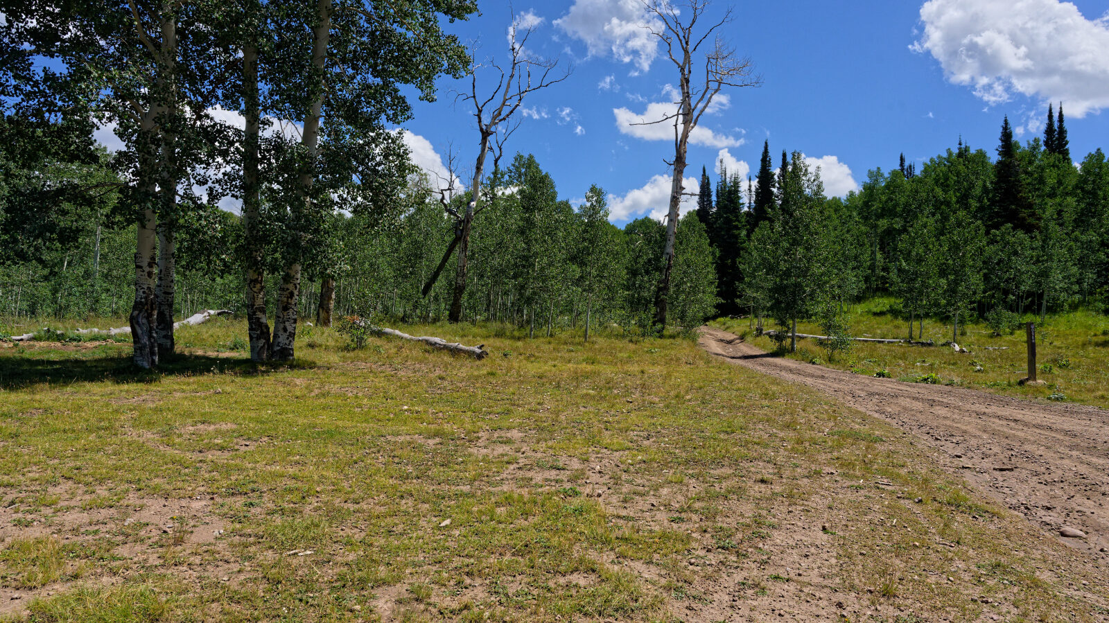 Waypoint 5