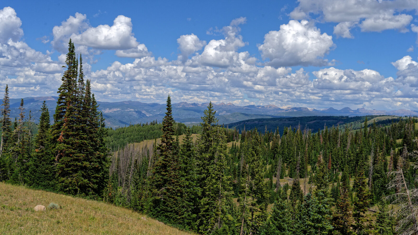 Waypoint 11