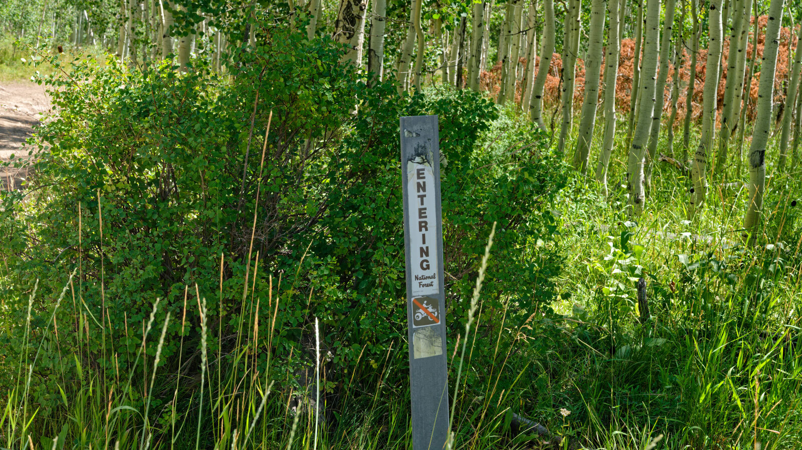 Waypoint 3