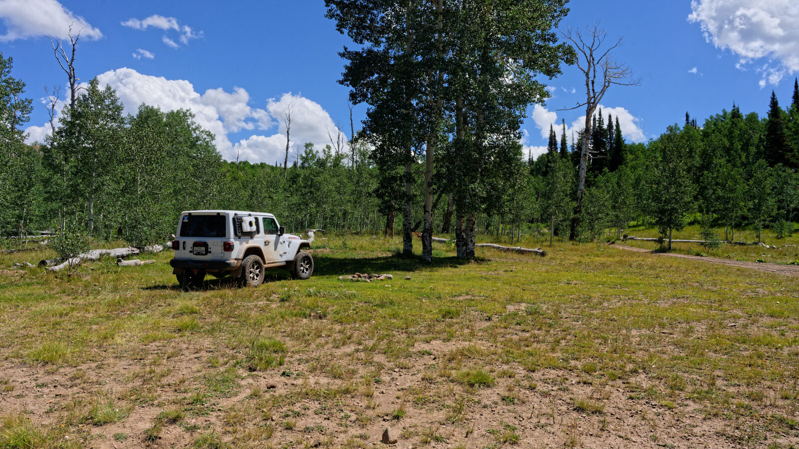 Waypoint 5