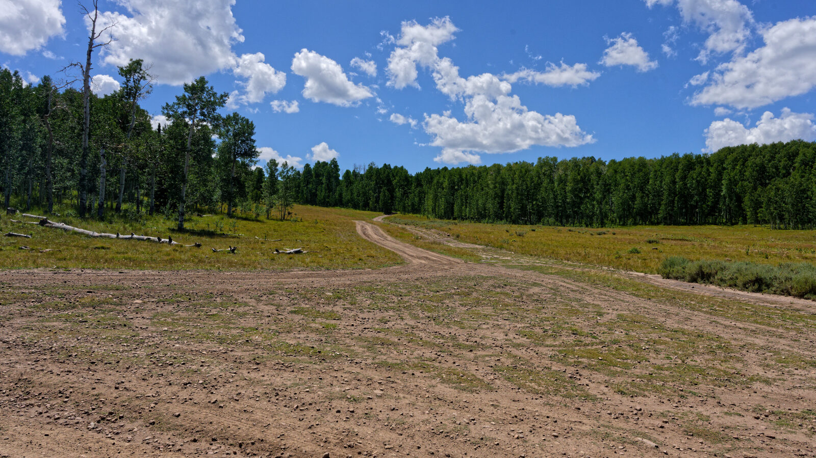 Waypoint 5