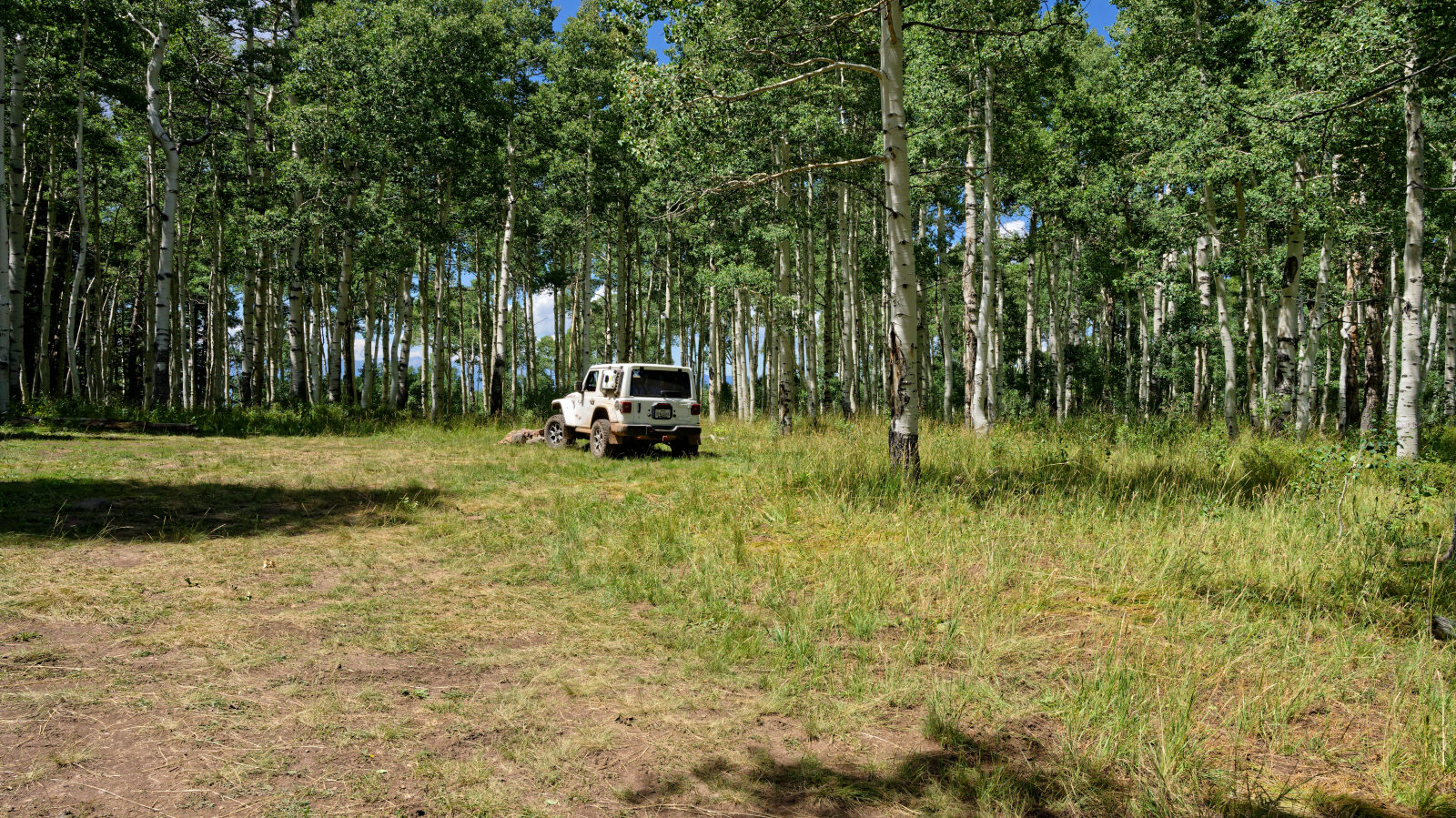 Waypoint 7
