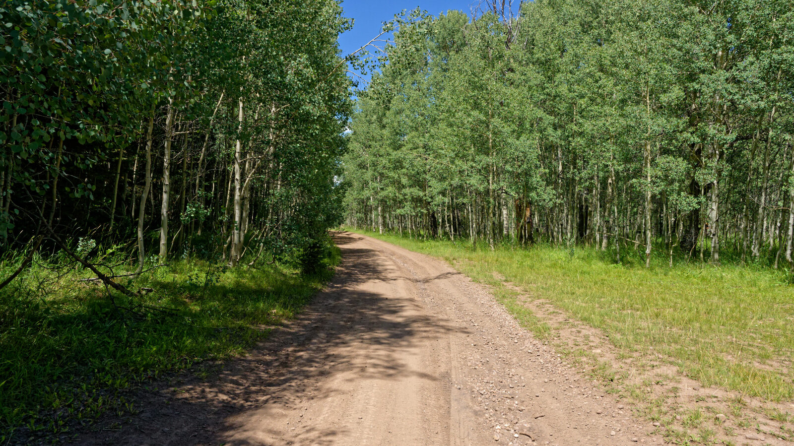 Waypoint 6