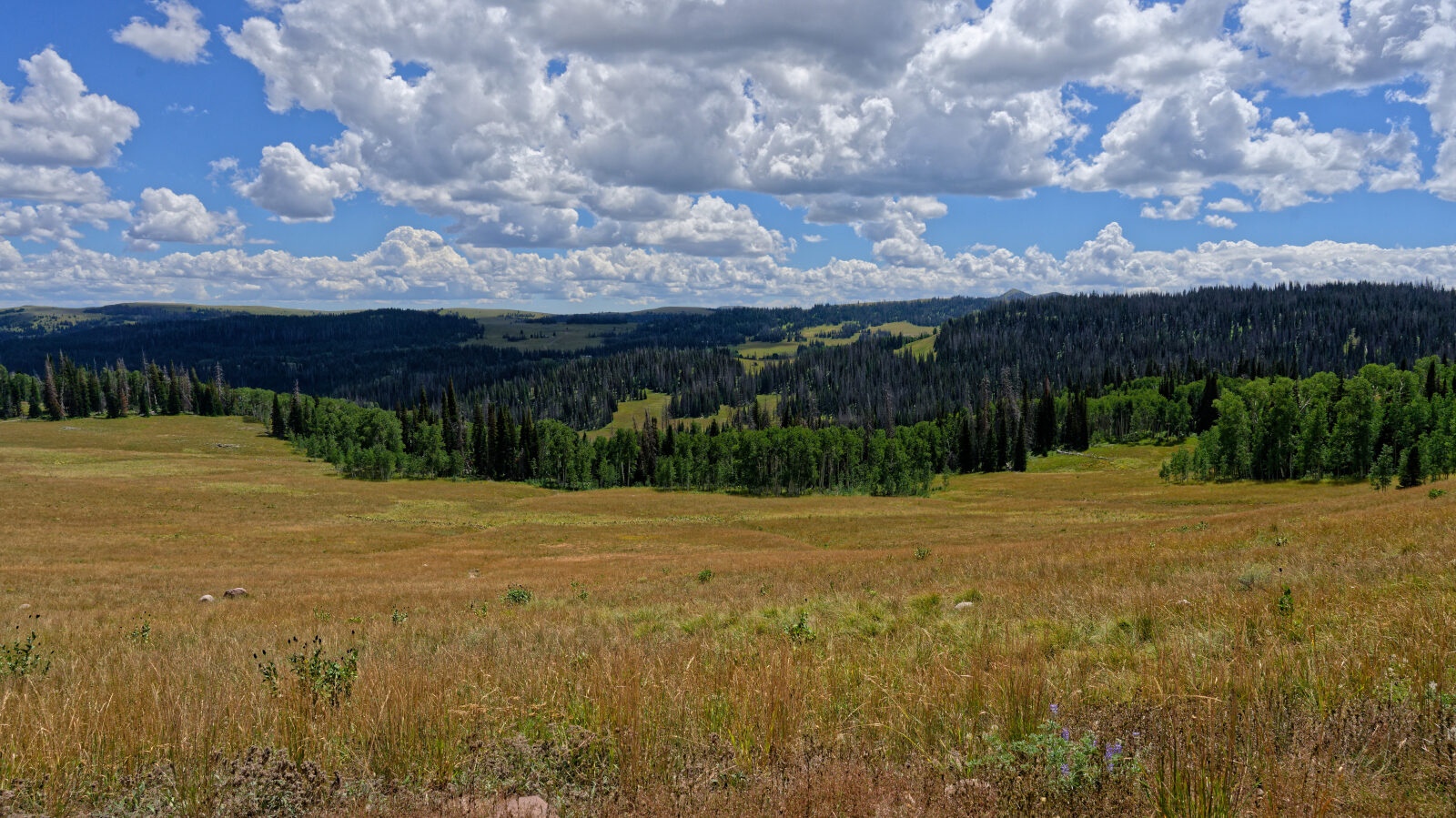Waypoint 12