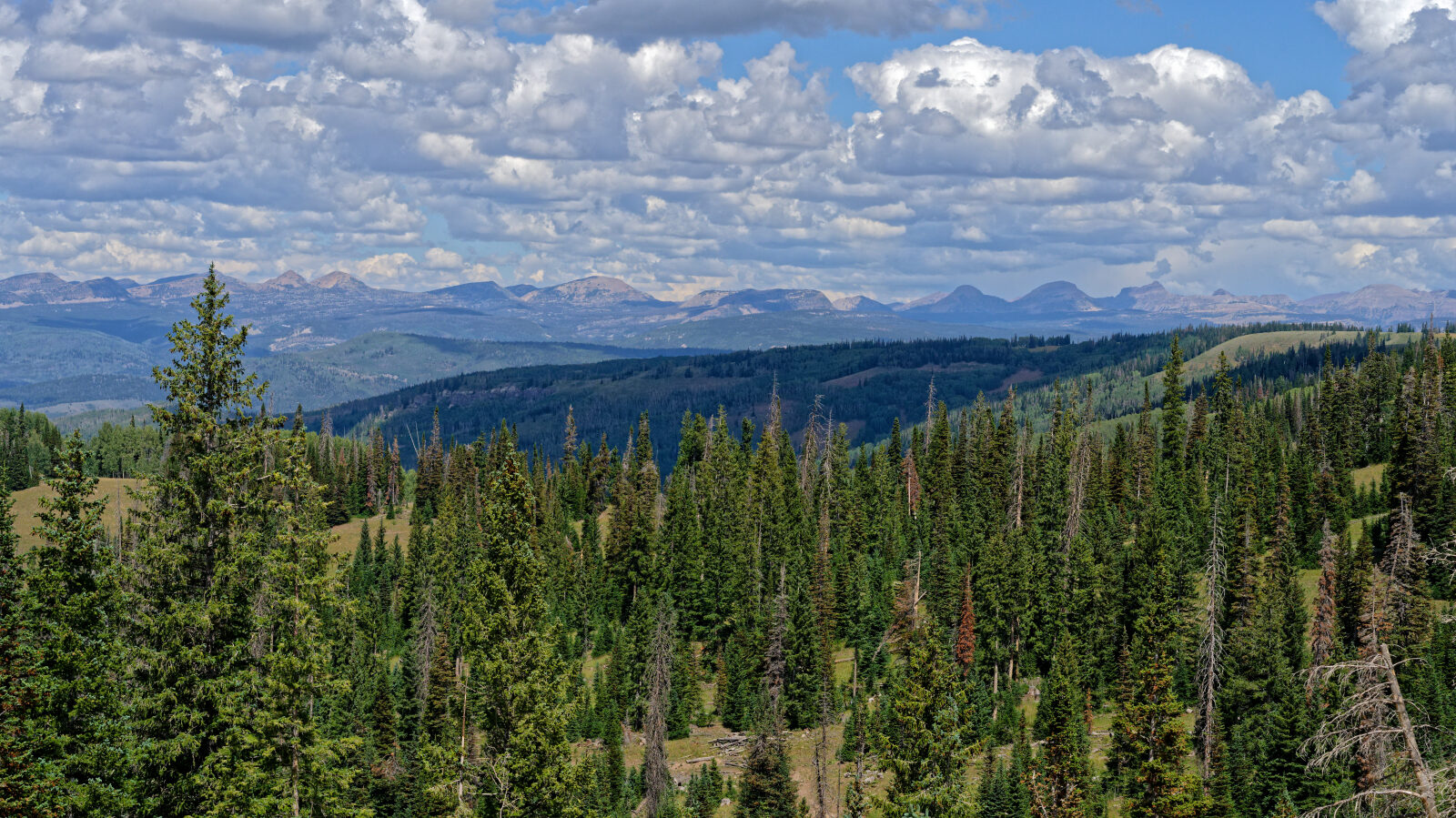 Waypoint 11