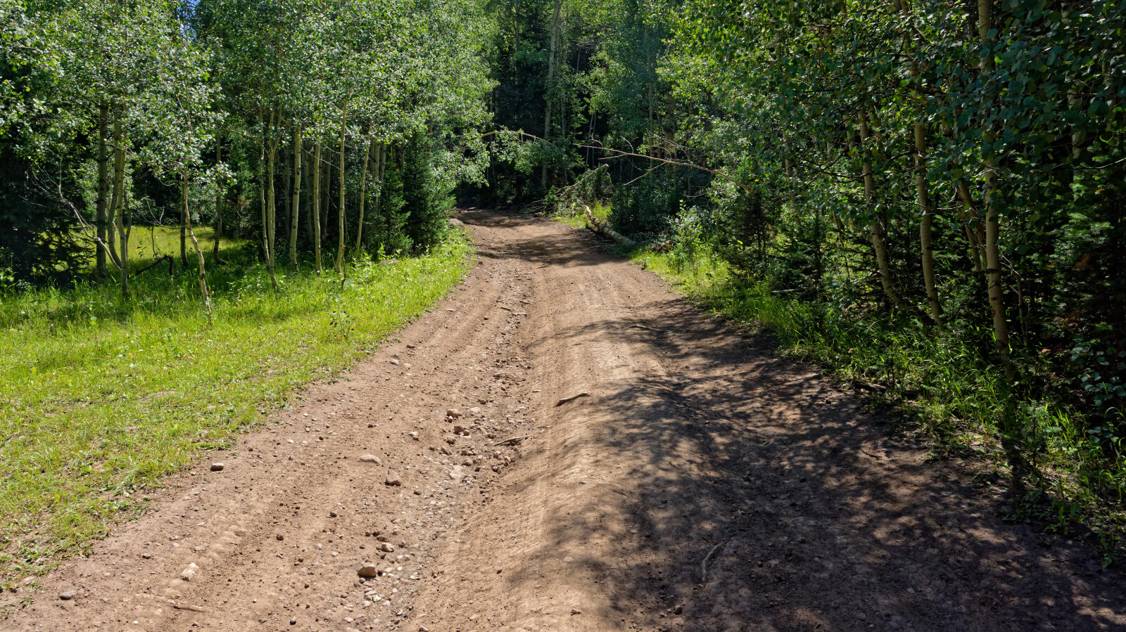 Waypoint 6