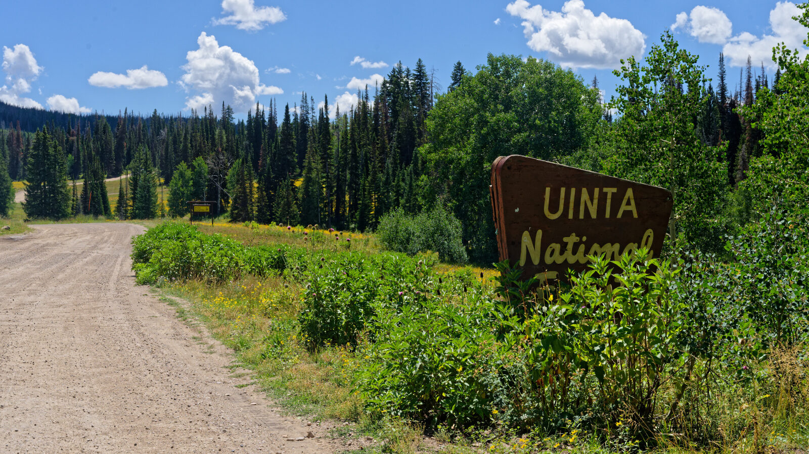 Waypoint 1