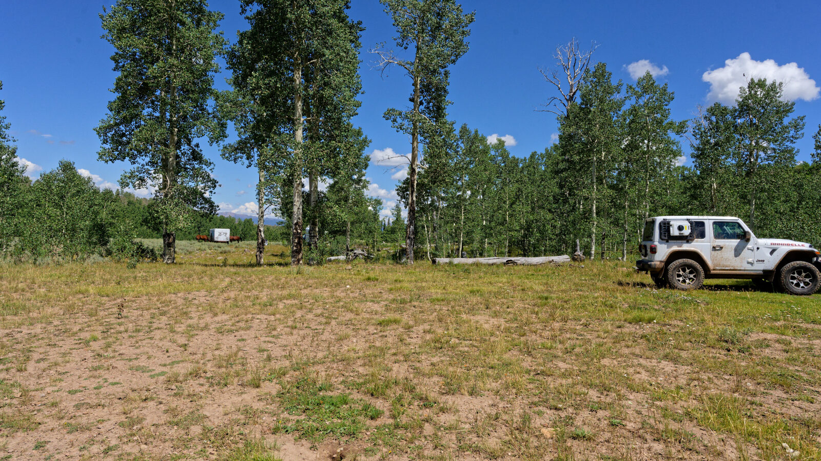Waypoint 5