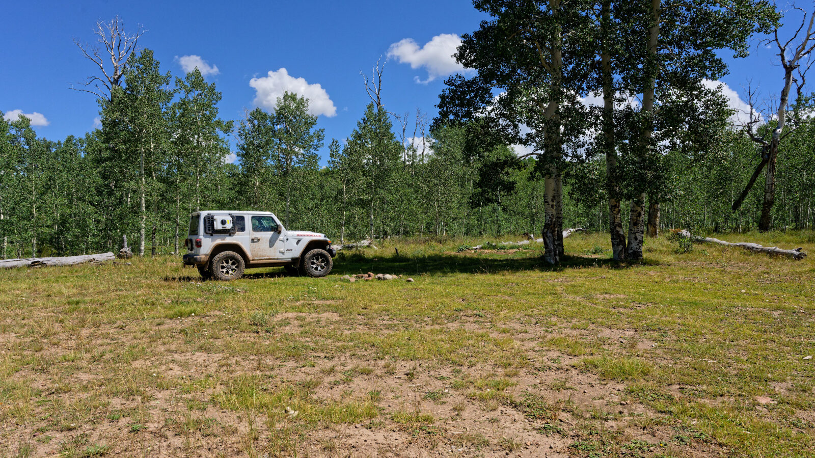 Waypoint 5