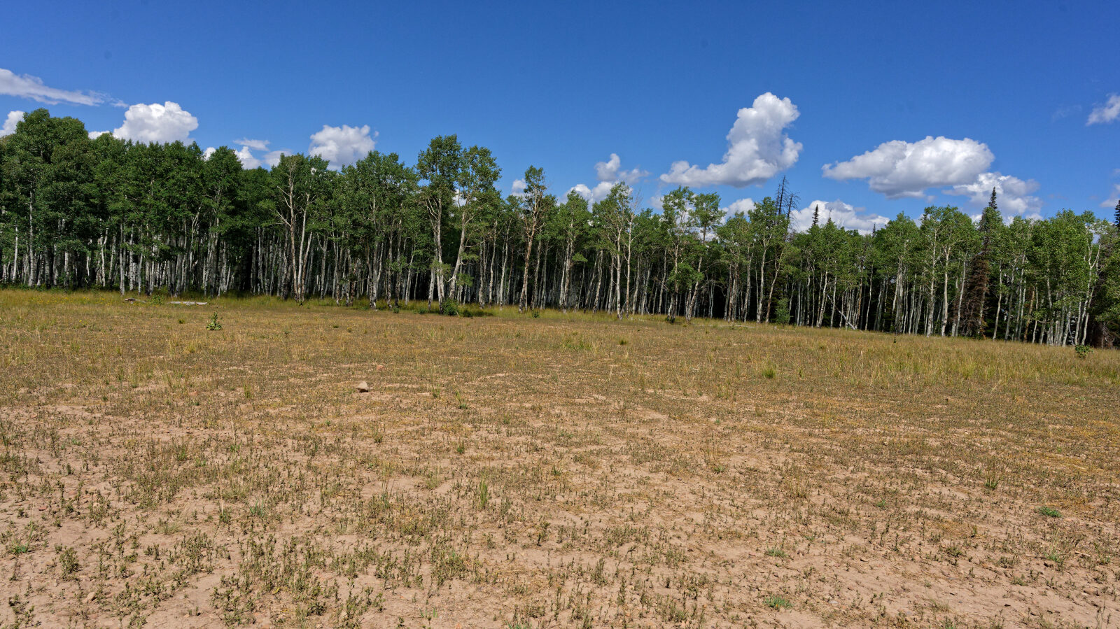 Waypoint 8