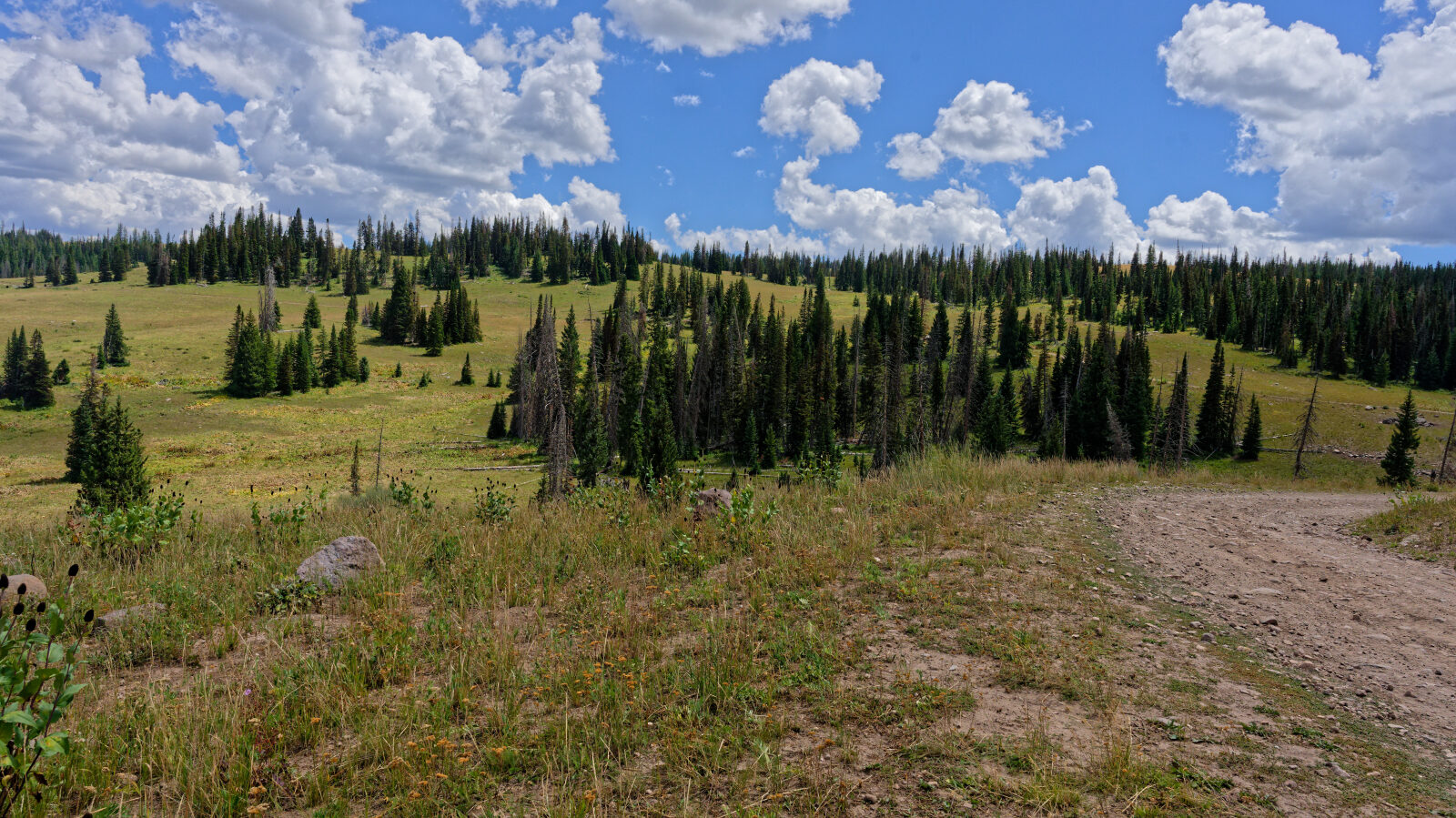 Waypoint 10