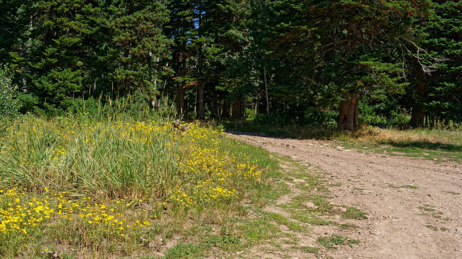 Waypoint 1
