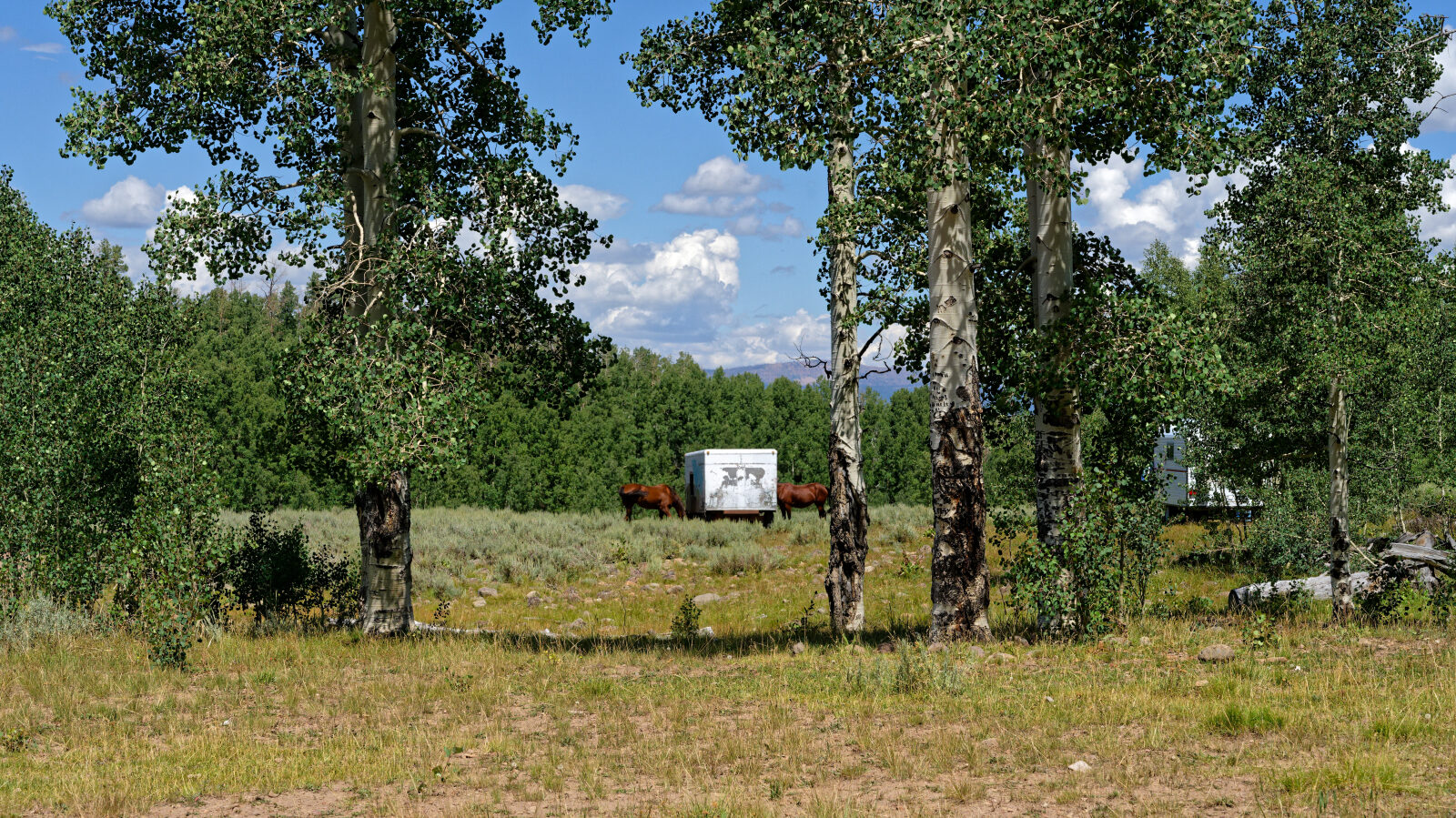 Waypoint 5