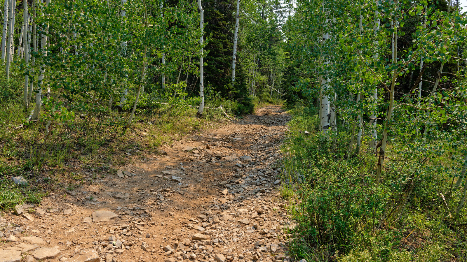 Waypoint 3