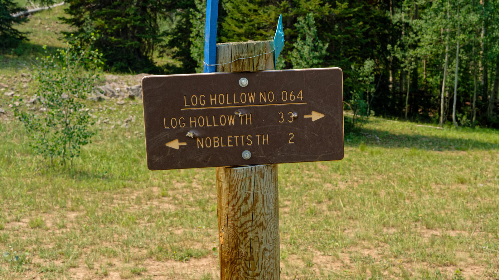 Waypoint 3