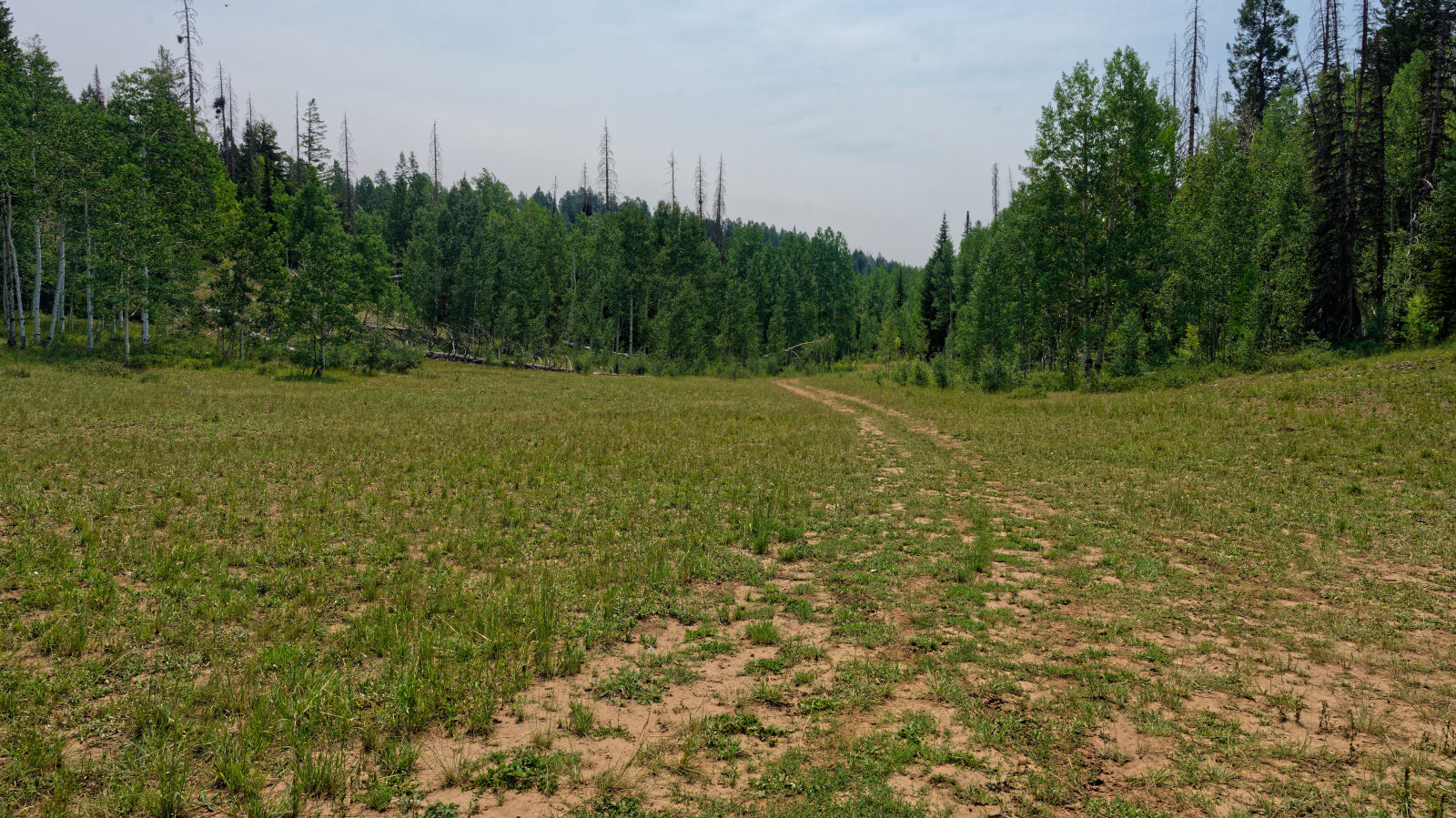Waypoint 3