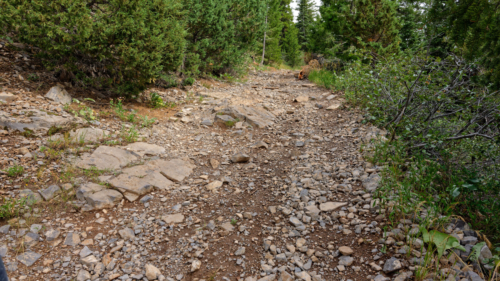 Waypoint 2