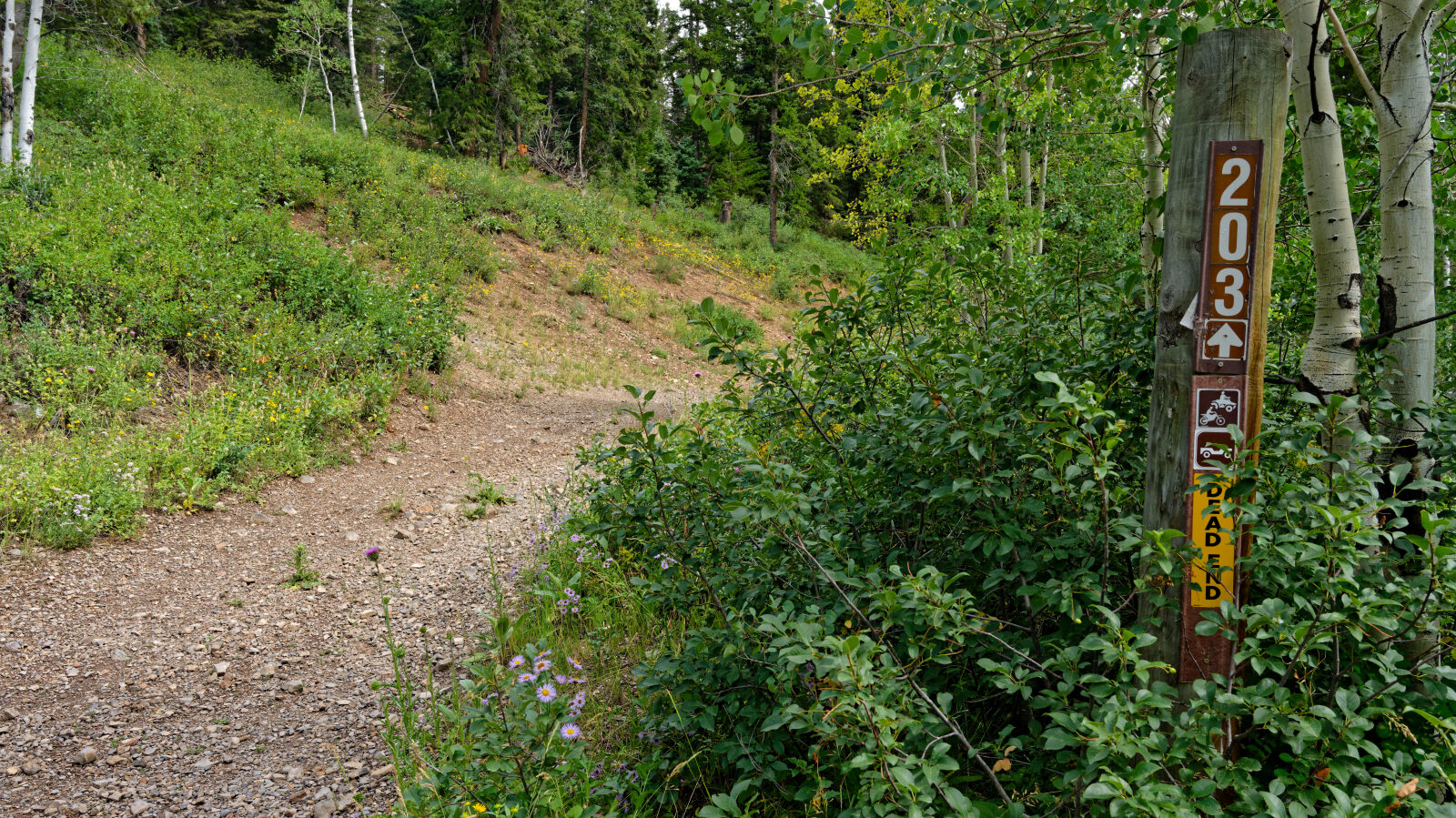 Waypoint 1