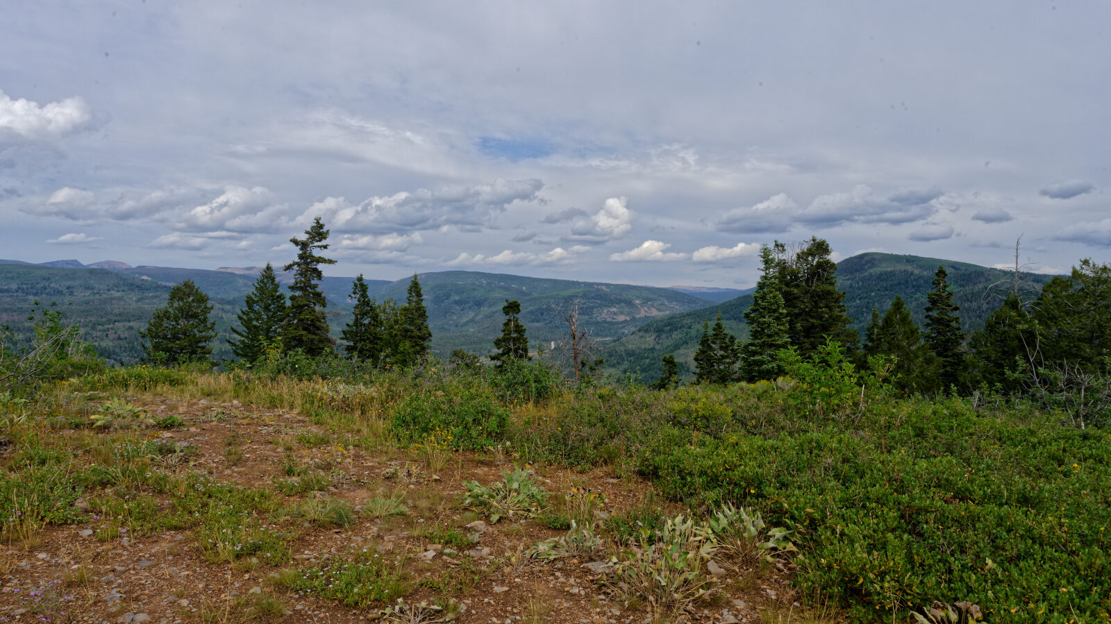 Waypoint 3