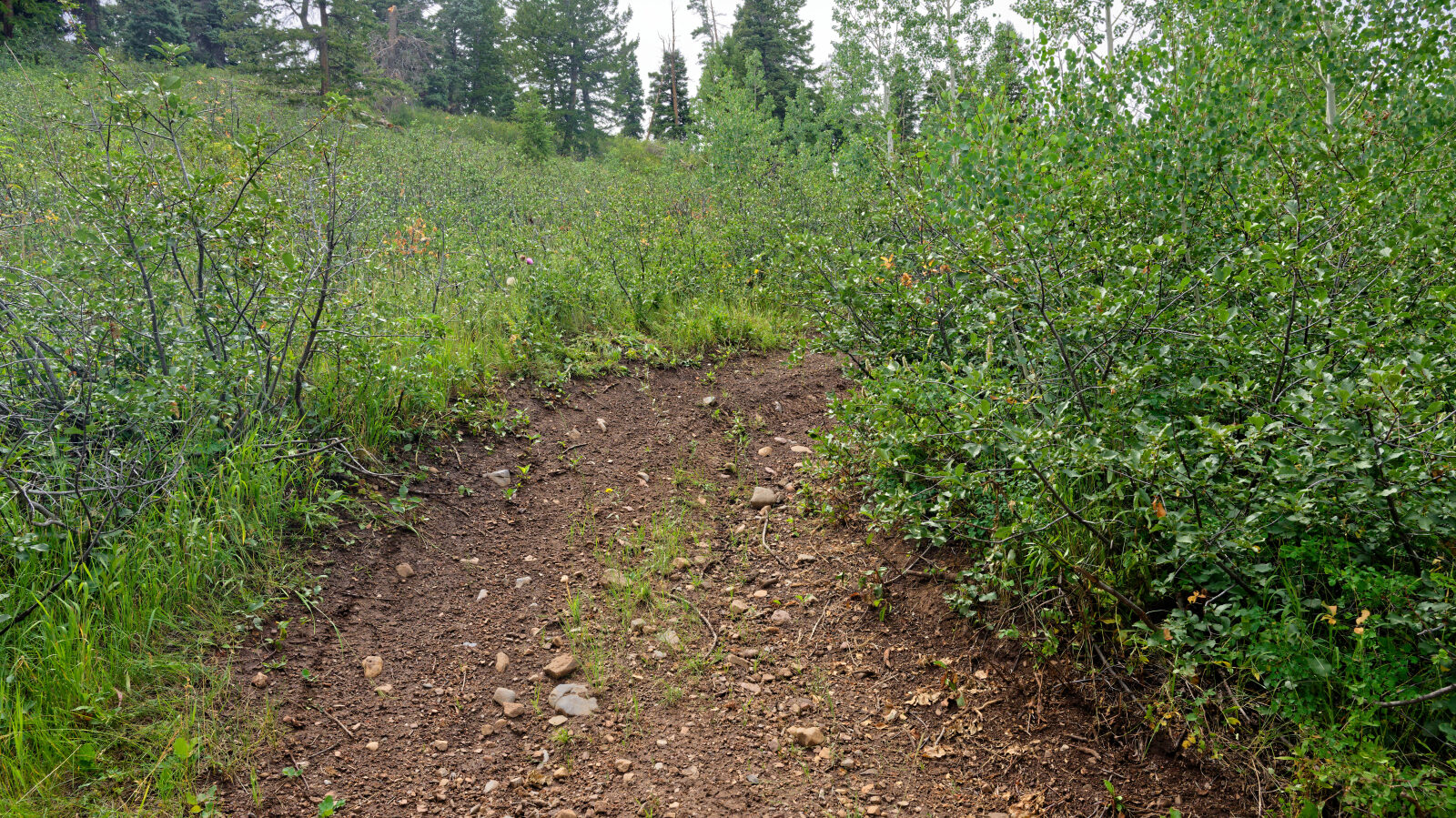 Waypoint 3