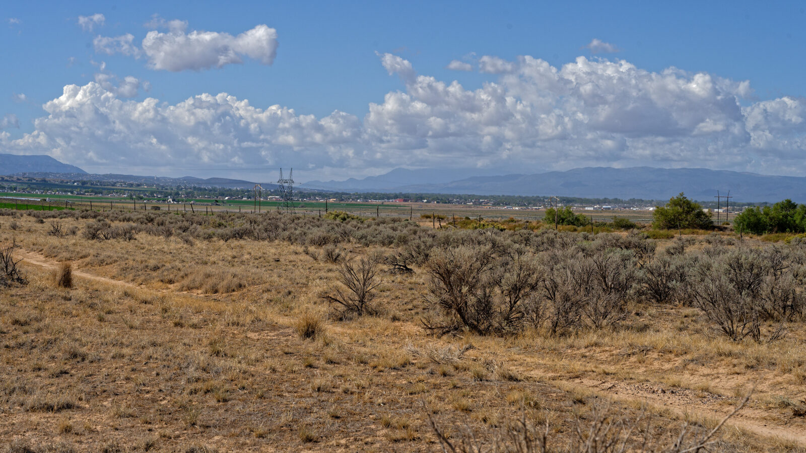 Waypoint 4