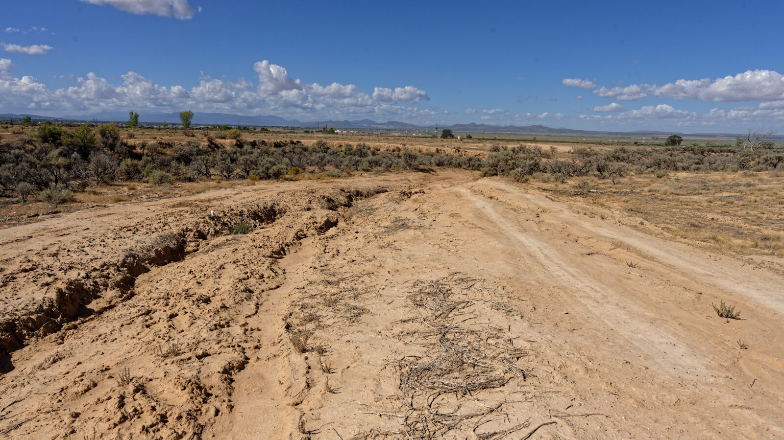 Fine for high clearance two-wheel drive on a dry day, but after any rain or wetness you will need four-wheel drive. This is the end of Braffits Creek Road.