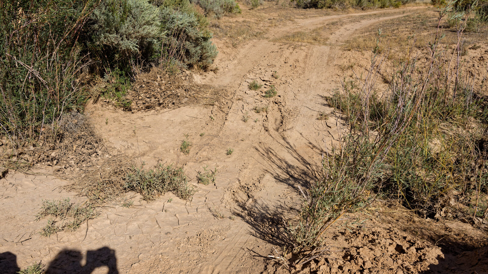Waypoint 4