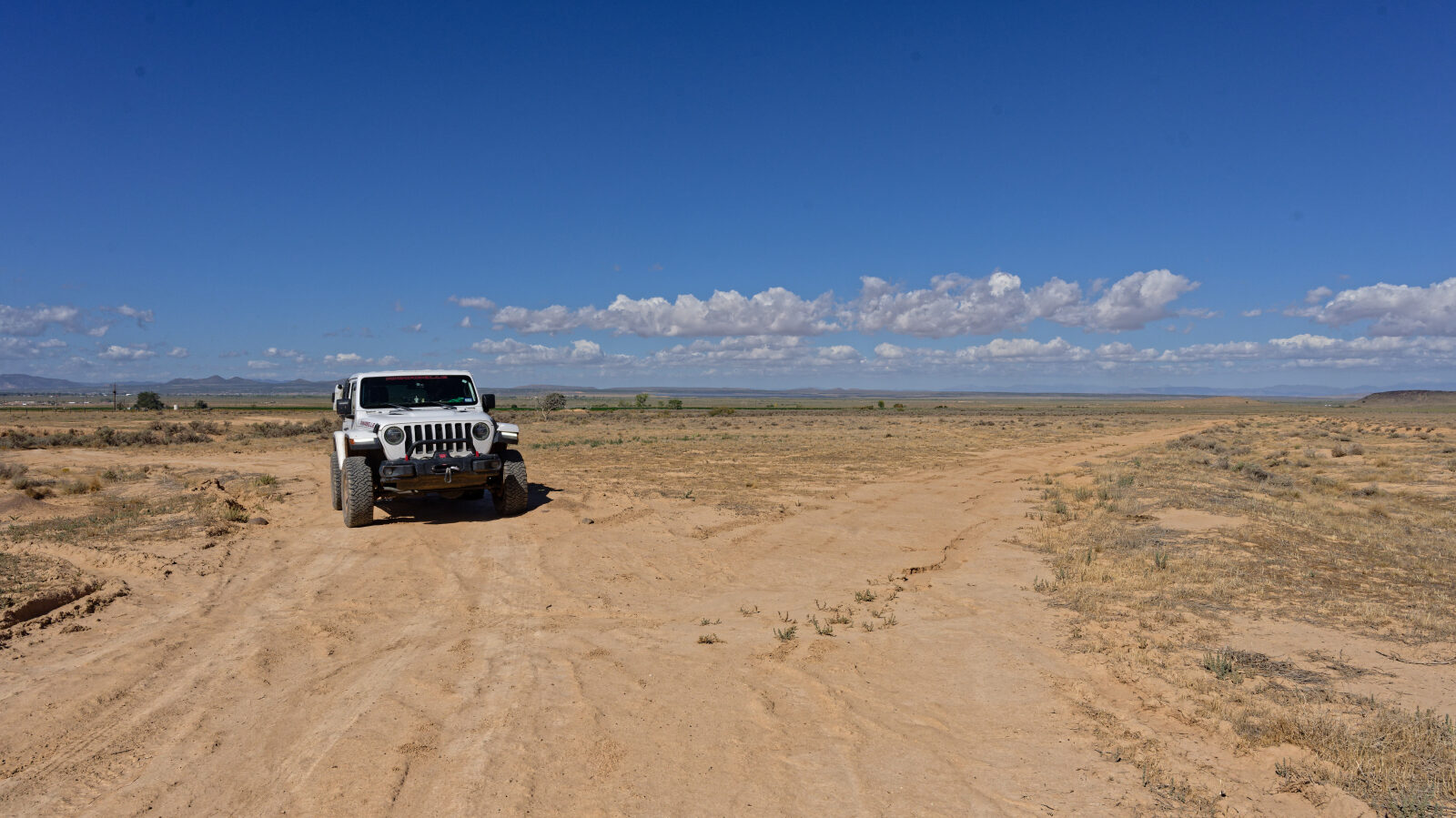 Fine for high clearance two-wheel drive on a dry day, but after any rain or wetness you will need four-wheel drive. This is the end of Braffits Creek Road.