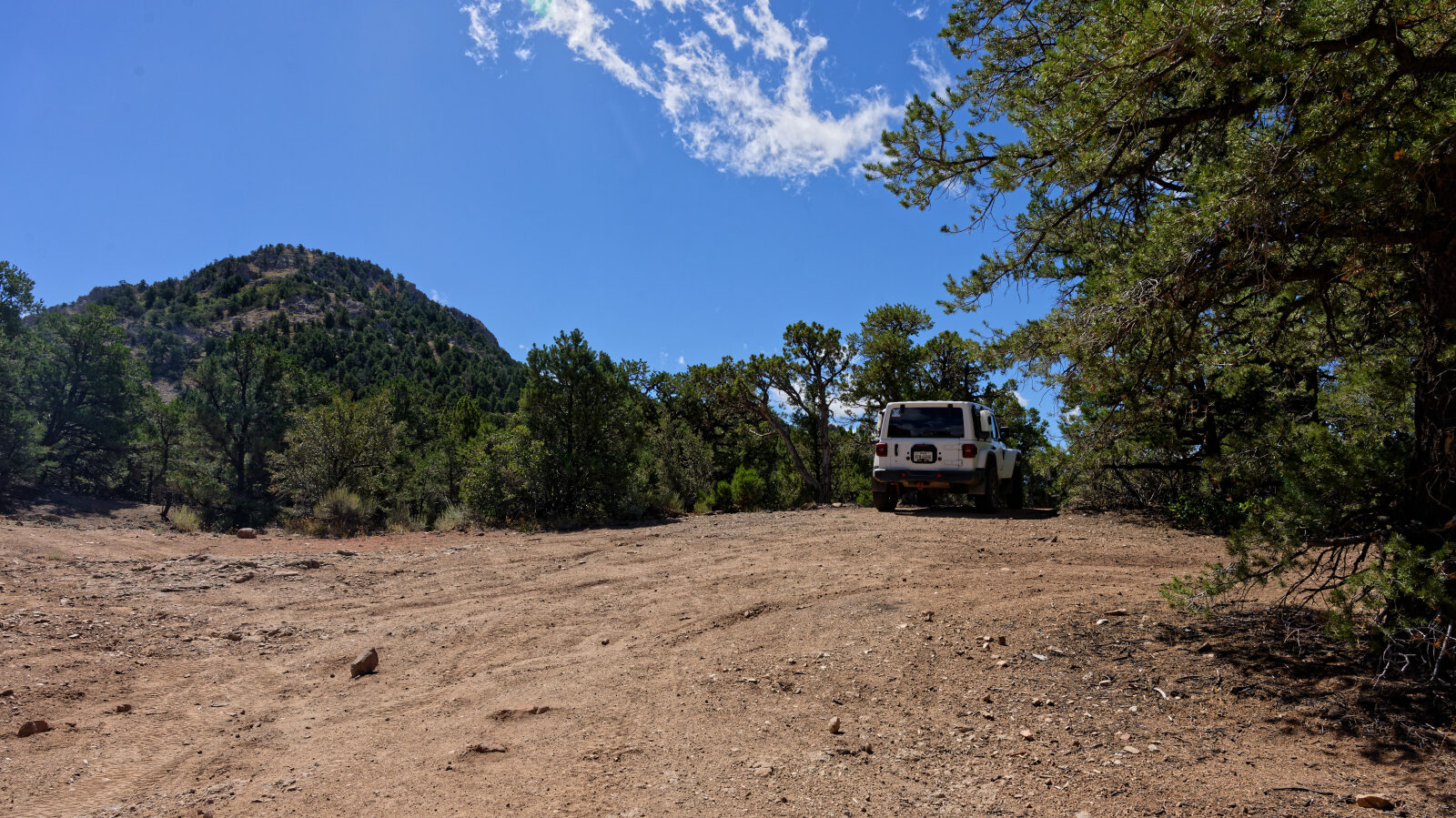 Camp spot for a small trailer or maybe two small rigs. No privacy, and only some shade for short rigs.