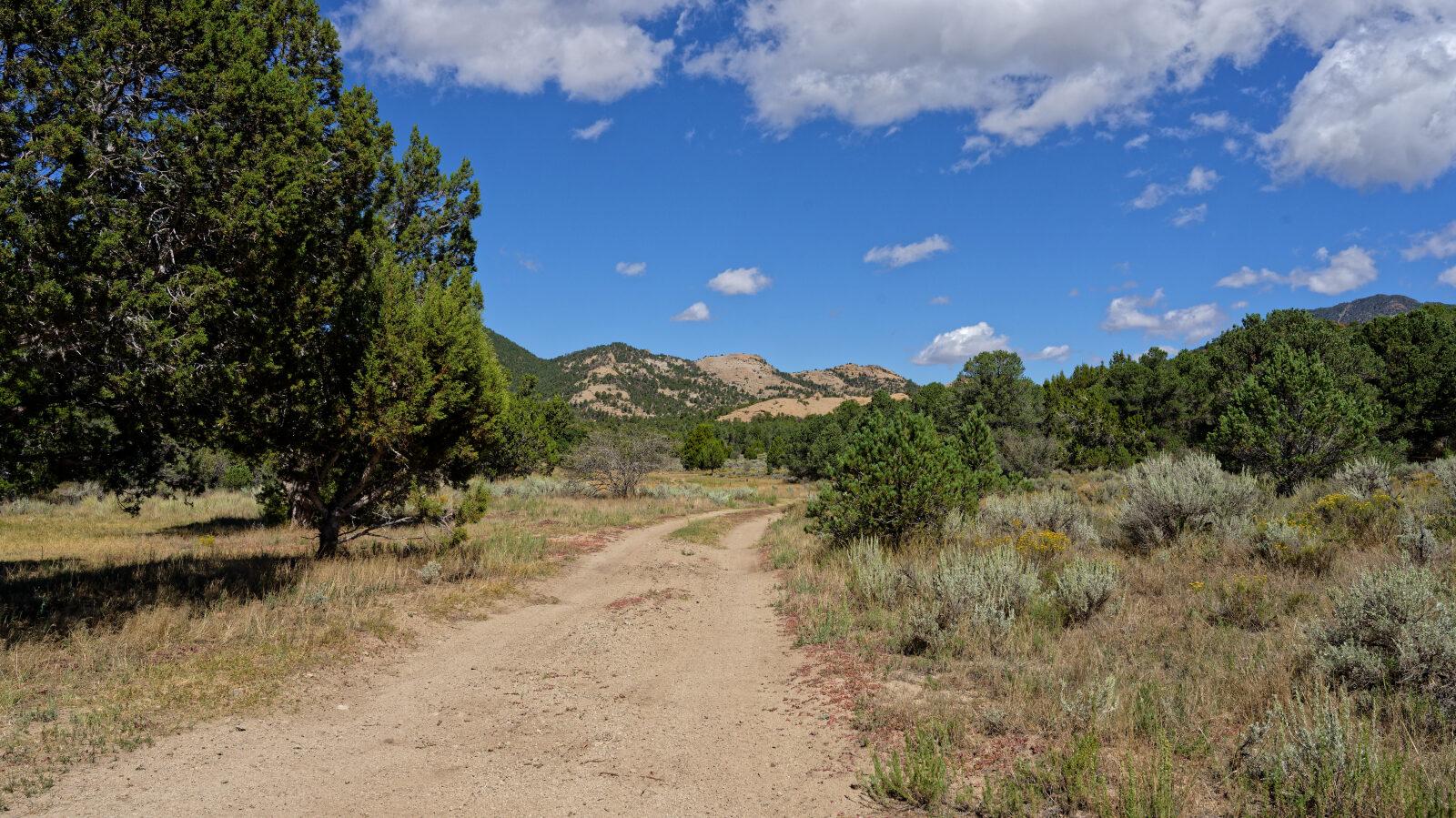 Waypoint 8