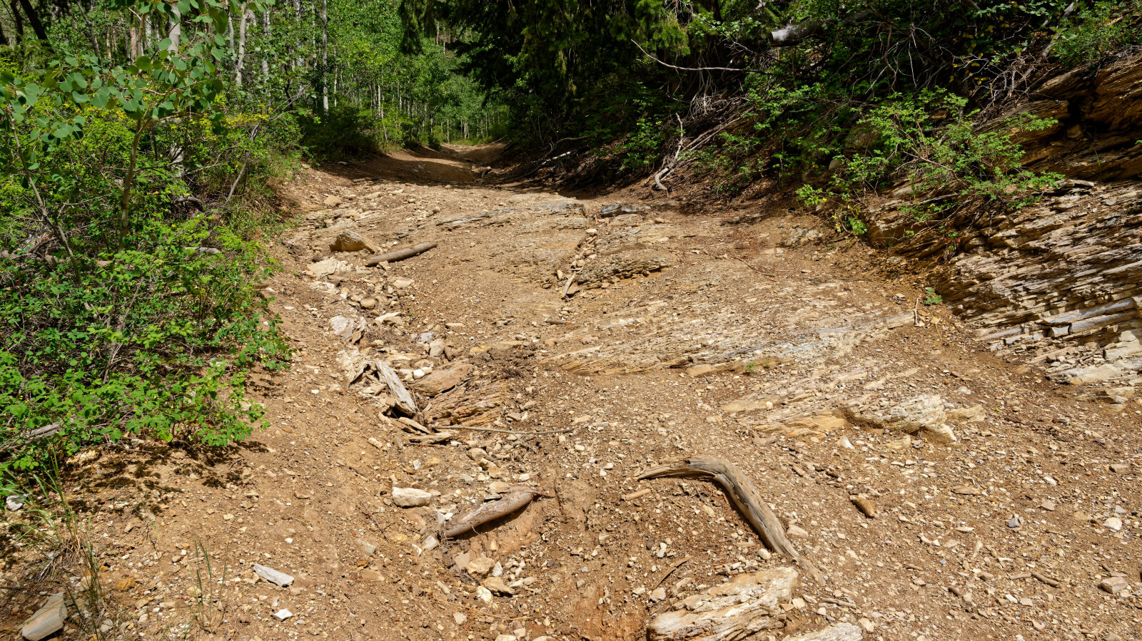 This is the hardest spot on the spur, about a level three and a half to four.