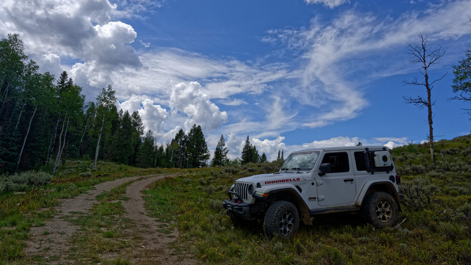 Waypoint 4