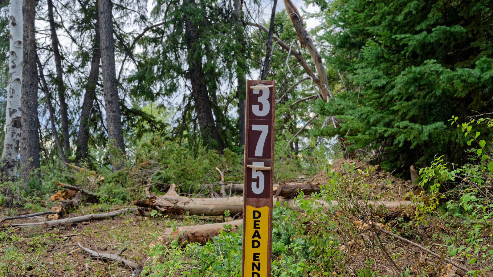 Waypoint 6