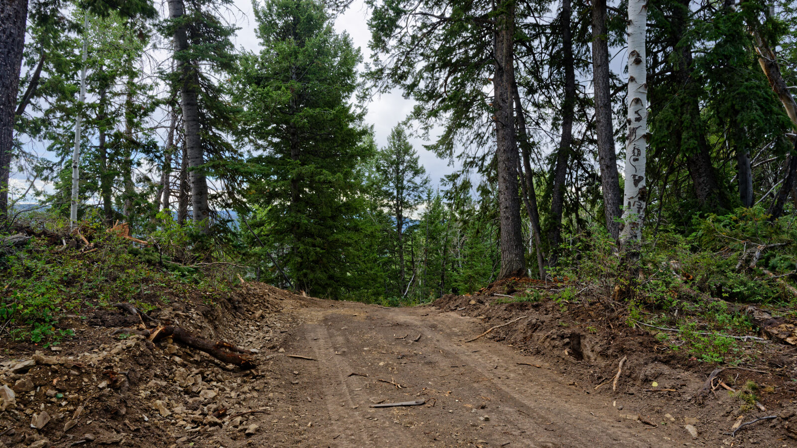 Waypoint 6
