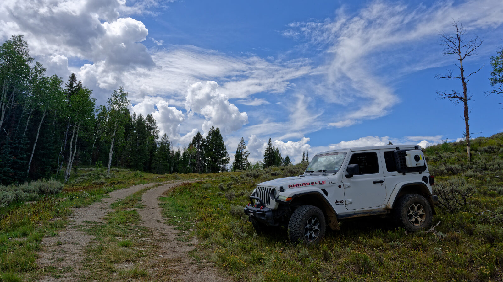 Waypoint 4