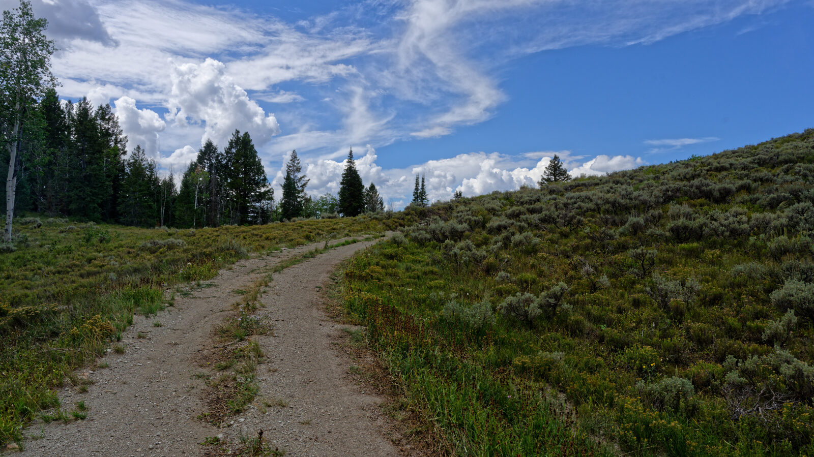 Waypoint 4