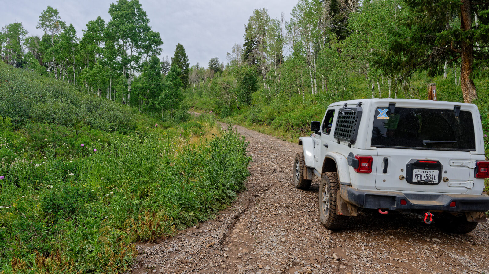 Waypoint 1